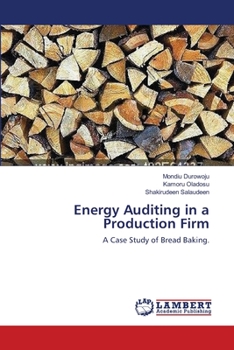Paperback Energy Auditing in a Production Firm Book