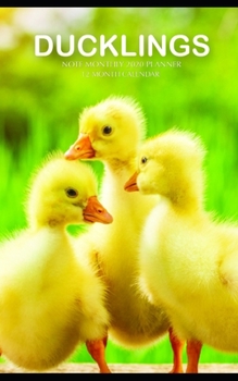 Paperback Ducklings Note Monthly 2020 Planner 12 Month Calendar Book