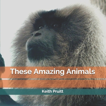 Paperback These Amazing Animals Book