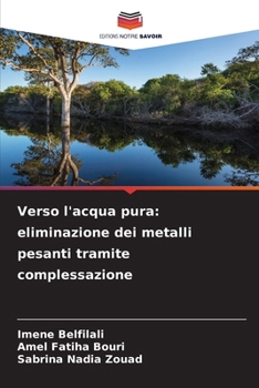 Verso l'acqua pura: eliminazione dei metalli pesanti tramite complessazione (Italian Edition)