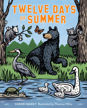 Hardcover Twelve Days of Summer Book