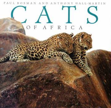 Hardcover Cats of Africa: Cats of Africa Book