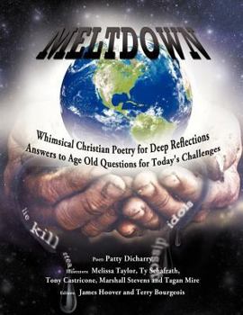 Paperback Meltdown Book