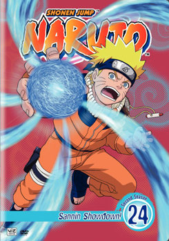 DVD Naruto Volume 24 Book