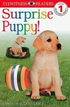 Paperback DK Readers L1: Surprise Puppy Book