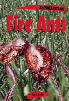 Hardcover Animals Attack: Fire Ants Book