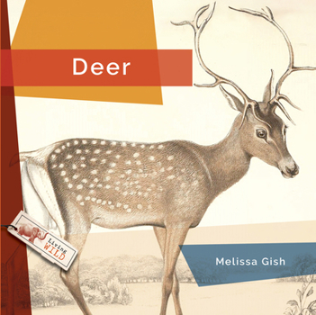 Library Binding Deer Book