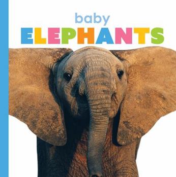 Baby Elephants - Book  of the Starting Out