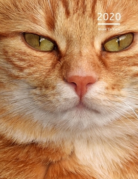 2020 A4 Diary Week To View Planner For All Occasions: | Year Planner For Business, Office, Home, University, College, School, Appointments, Organizer.