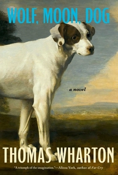 Hardcover Wolf, Moon, Dog Book