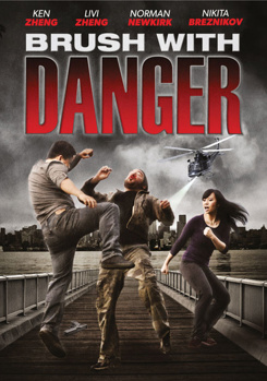 DVD Brush with Danger Book