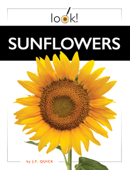 Hardcover Sunflowers Book