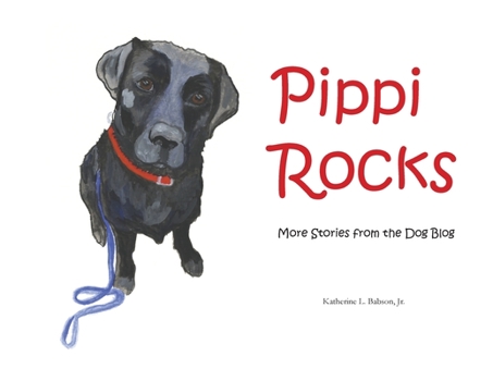 Paperback Pippi Rocks Book