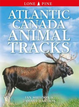 Paperback Atlantic Canada Animal Tracks Book