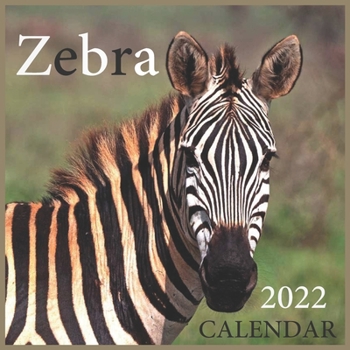 Zebra CALENDAR 2022: Official Zebra Calendar 2022 ,safari Calendar 2022 ,Office Calendar 2022, Square 2022 Calendar ...