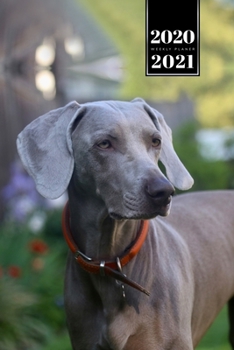 Great Dane Dog Calendar Week Planner 2020 / 2021 - Dreamy Look: Pup Puppy Doggie Pet Owner Weekly Bullet Journal Notebook Diary in 6” x 9” Inch Pocket Size