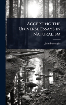Accepting the Universe Essays in Naturalism