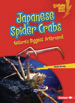 Paperback Japanese Spider Crabs: Nature's Biggest Arthropod Book