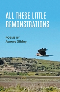 Paperback All These Little Remonstrations Book