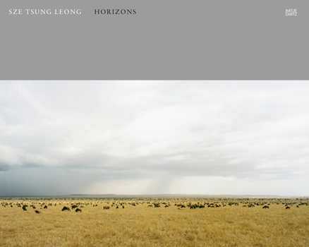 Hardcover Sze Tsung Leong: Horizons Book