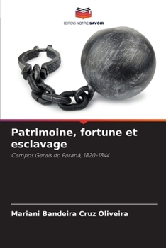 Patrimoine, fortune et esclavage (French Edition)