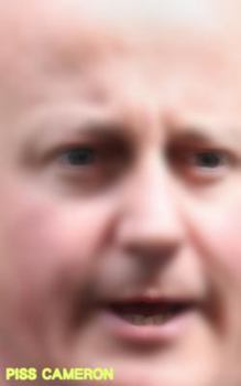 Paperback Piss Cameron Book