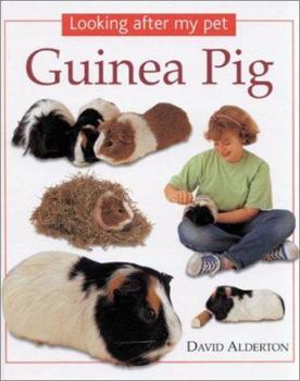 Hardcover Guinea Pig Book
