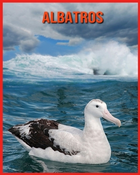 Albatros: Tolle Bilder & Wissenswertes ?ber Tiere in der Natur