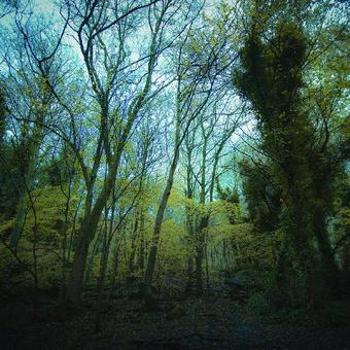 Vinyl Time Lapse (Color Vinyl) Book