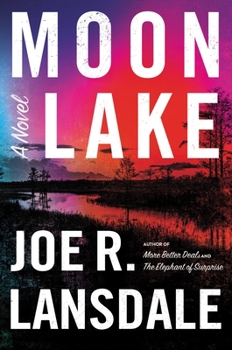 Hardcover Moon Lake Book