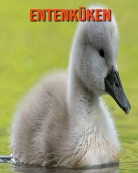Paperback Entenk?ken: Sch?ne Bilder & Kinderbuch mit interessanten Fakten ?ber Entenk?ken [German] Book