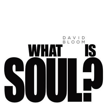 Paperback What Is Soul? Book