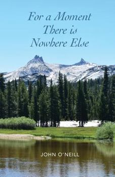 Paperback For a Moment There Is Nowhere Else Book