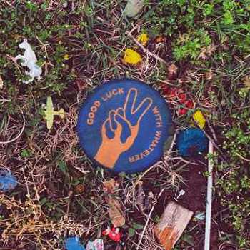 Vinyl Good Luck With Whatever (LP) Book