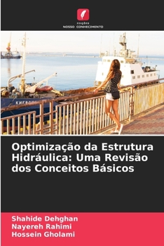 Paperback Optimização da Estrutura Hidráulica: Uma Revisão dos Conceitos Básicos [Portuguese] Book