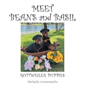 Hardcover Meet Beans and Basil Book