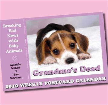 Calendar Grandma's Dead: 2010 Postcard Day-To-Day Calendar Book