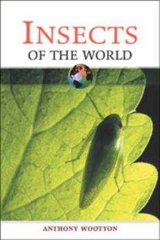 Insects of the World (Of the World Series)