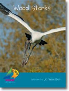 Paperback Sails Fluency Turquoise Book