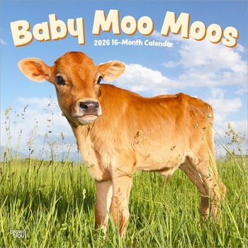 Calendar Baby Moo Moos 2026 12 X 24 Inch (Hanging) Monthly Square Wall Calendar Plastic-Free Book