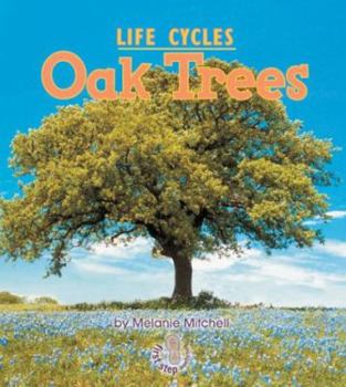 Hardcover Plant Life Cycles: Oak Trees Book