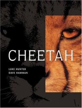 Hardcover Cheetah Book