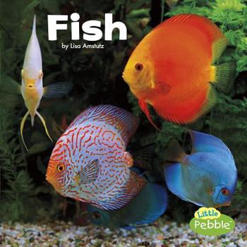 Fish - Book  of the My First Animal Kingdom Encyclopedias
