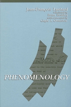 Paperback Phenomenology Book