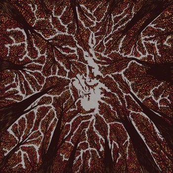Music - CD Crown Shyness Book