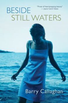 Hardcover Beside Still Waters Book