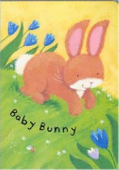 Board book Baby Basket: Baby Bunny (Baby Basket) Book