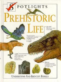 Hardcover Prehistoric Life (Spotlights) Book