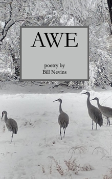 Paperback Awe Book