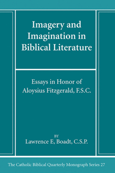 Paperback Imagery and Imagination in Biblical Literature Book